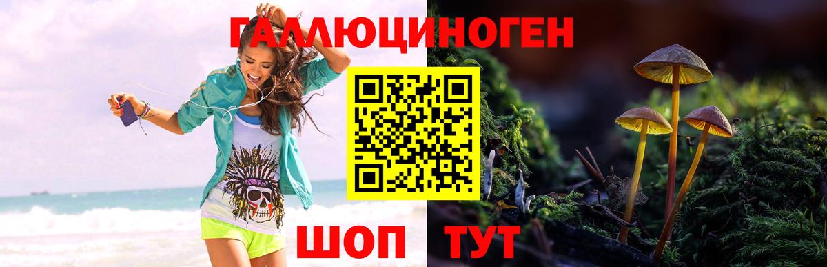 Красноуфимск  Псилоцибиновые грибы мицелий  Псилоцибиновые грибы Psilocybe  Вход с VPN 
